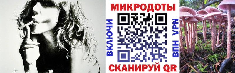 Псилоцибиновые грибы прущие грибы  kraken ССЫЛКА  Рязань  купить наркотик 