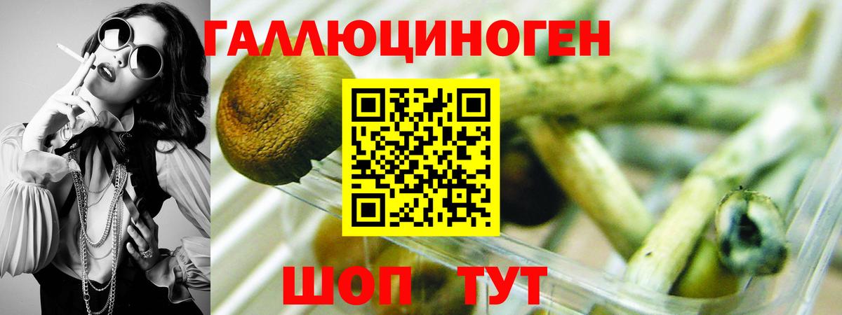 Псилоцибиновые грибы Magic Shrooms  Псилоцибиновые грибы Magic Shrooms  Вход с VPN  Рязань 